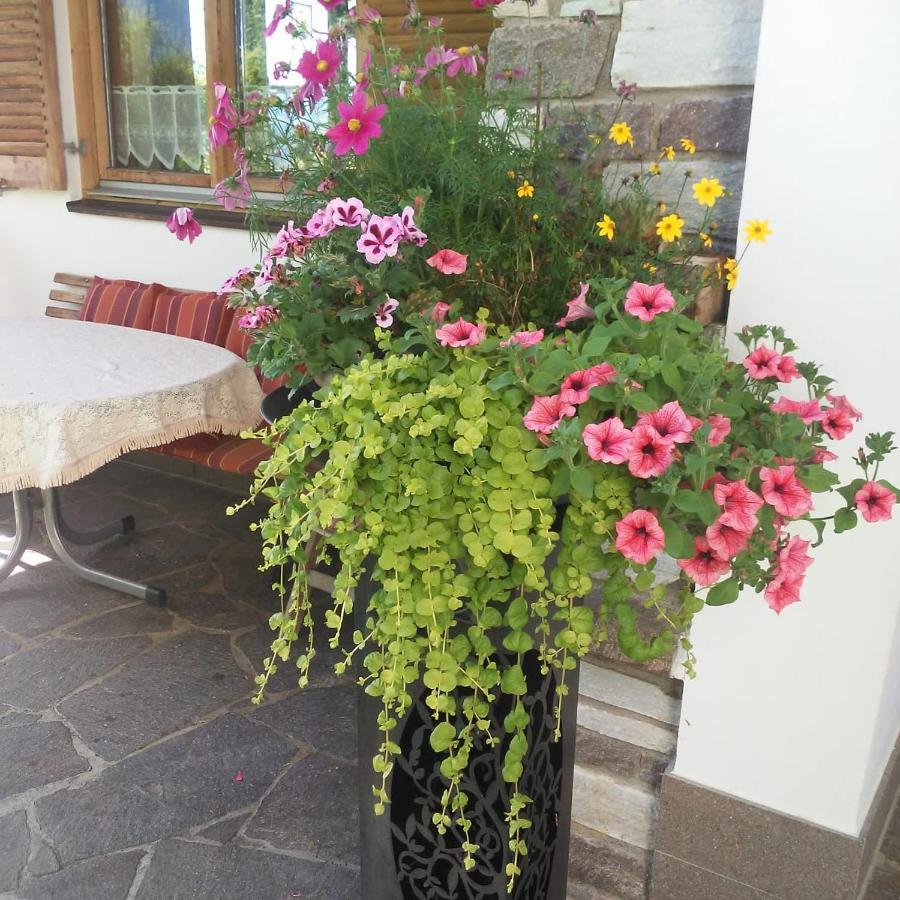 Haus Glanzern Lägenhet Westendorf Exteriör bild